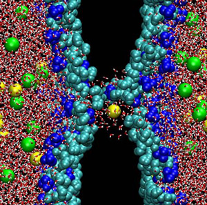 pore-ions